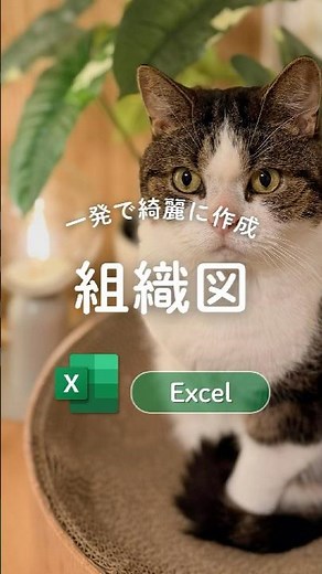 組織図の作り方🐰 #excel #エクセル #パソコン初心者