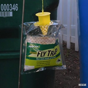 This fast-acting fly trap system can catch up to 200,000 flies via RESCUE! | Interesting Engineering