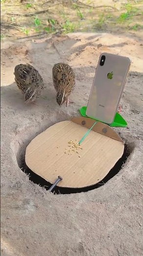 How to make trapes #shorts