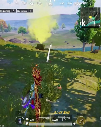 Battle Royale Gameplay: First-Person Shooter Action