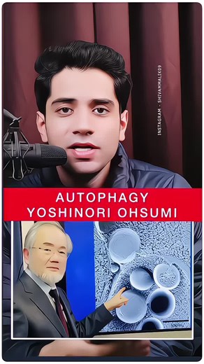 Autophagy Insights: Yoshinori Ohsumi's Nobel Prize Discovery