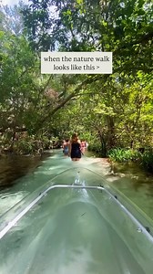 4.9K views · 32 reactions | Nature walk anyone? ️ Clear kayak or a walk through the springs - it’s your choice on a clear kayaking guided tour with us at @getupandgorainbowsprings  | Get Up And Go Kayaking | Facebook