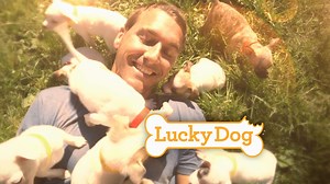 Lucky Dog - Episode 3134 "Biscuit"