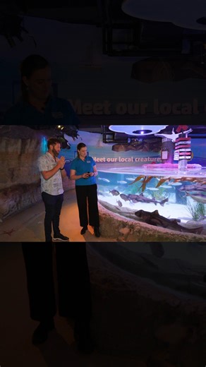 Australia's Native Sea Life | Forrest Galante