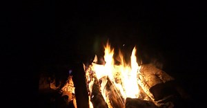 Video oleh Pixabay di Pexels