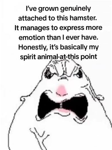Relatable Memes About Hamsters