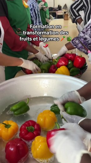 Formation en transformation et conservation des fruits et légumes 🫑🌶️🌾✅ #formationprofessionnelle #agroalimentaire #fruitsetlegumes