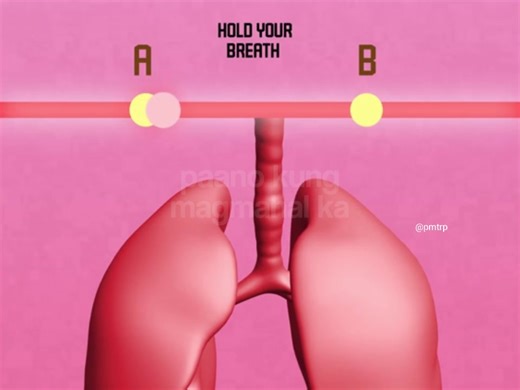 3.5M views · 27K reactions | test your lungs | User not found | Facebook