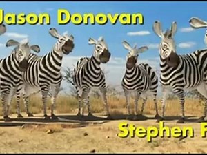 Animals United - Trailer