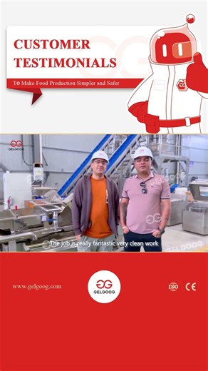 Vegetable Washing Line — Customer Reviews #machine