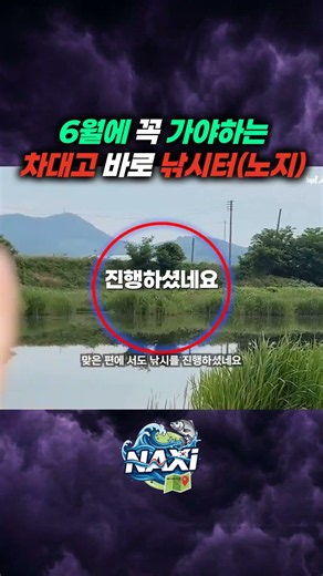 6월 무료낚시 필수 코스 #붕어낚시 #차대고바로낚시 #무료낚시터