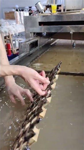 #water #factoryproducts #factory