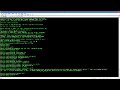 Cisco Nexus FEX and vPC Configuration