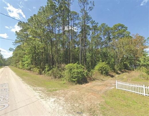 4132 Oleander Ave, Bunnell, FL 32110 - Growing 1.14 Acres Residential | LoopNet