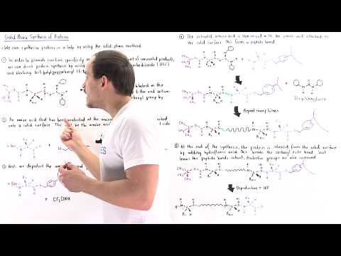 Solid-Phase Synthesis of Proteins