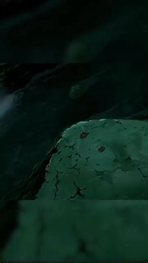 La mort de Shisui, une vraie honte | XENO LE SHINOBI