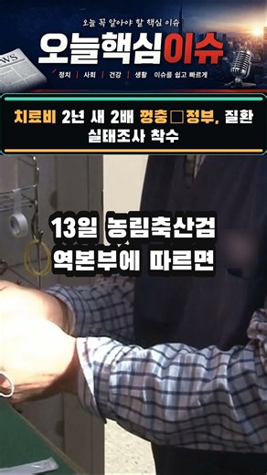 #20260814 치료비 2년 새 2배 껑충…정부, 질환 실태조사 착수 #건강 #뉴스쇼츠 #핵심이슈 #오늘뉴스 #치료비
