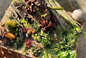 34K views · 312 reactions | Be a Friend of the Farm! Get to know...