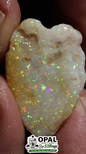 Australian Opals Starting at $1? 🎯 No Reserve Auctions Daily