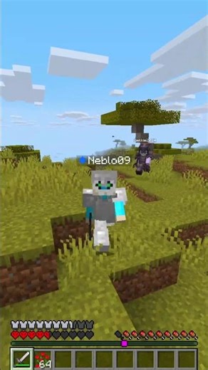 ONSTERFELIJK Worden Met Bloemen #shorts #minecraft #glitch