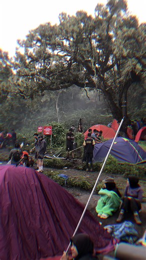 Pendakian Manusia Serba Pink ke Puncak Gunung Kerinci