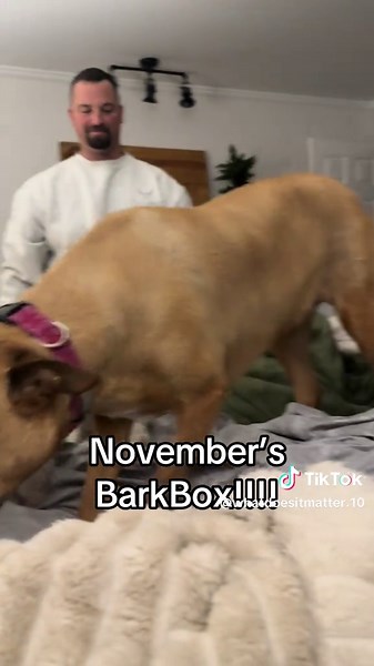 November BarkBox Unpacking with Mom's Love