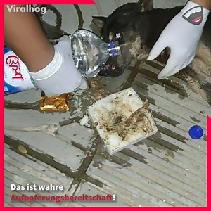 Mann rettet sterbenden Hund❤️🐶 ViralHog | Avive