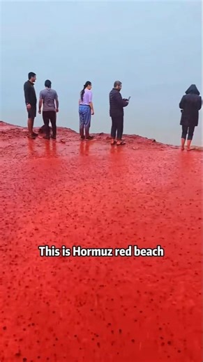 What kind of peculiar beach is this?