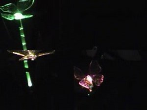 Butterfly Solar Garden Light