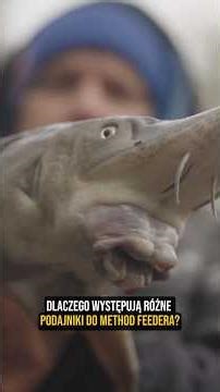 Which method feeder should I choose? 🤯🤯 #fishing #methodfeeder #fish