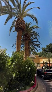 111K views · 301 reactions | Every day you stay, receive resort credit to enjoy the very best of Wynn dining, cocktails, spa, and more. | Wynn Las Vegas | Facebook