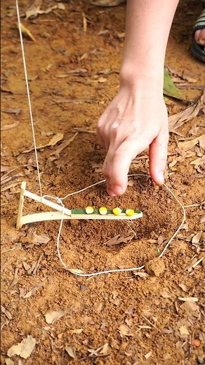 3 types of traps that are easy to make and highly effective #trap #buithithuy