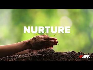 OUR SUSTAINABLE JOURNEY INTO WINEMAKING INNOVATION (Video promo)