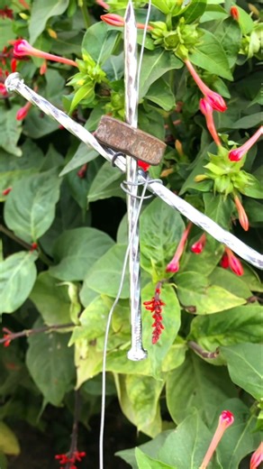 Super Strong Wire Grip Trick Using Only Two Nails#bushcraft 👍