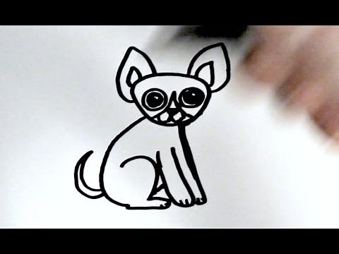 How to Draw a Cartoon Chihuahua