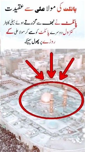 Pilot's love with Hazrat Ali tomb #youtubeshorts #news #pilot #crewlife #imamali #love