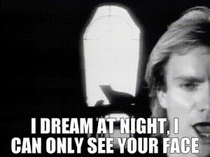 I dream at night, I can only see your face