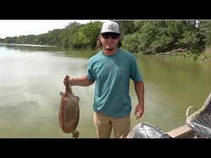 Soft Shell Turtle Catch Clean Cook
