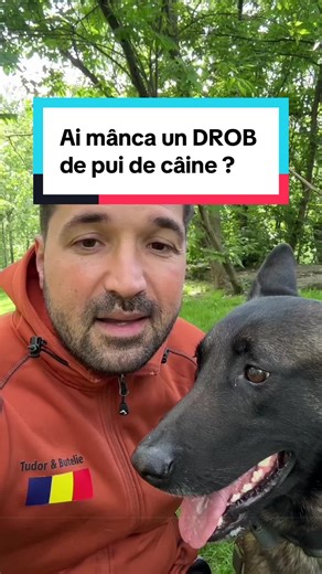 Ai putea să mănânci un drob de pui de câine? Paștele e despre viață, nu despre suferință. ‘Tradiția’ nu însemna exces, consum zilnic și risipă. Astea sunt alegerile noastre. Chiar și un singur produs schimbat când ești la cumpărături poate salva o viață. Dă mai departe. Paște fericit alături de cei dragi! #Paste #miel #caine #traditii #tudorestischimbarea