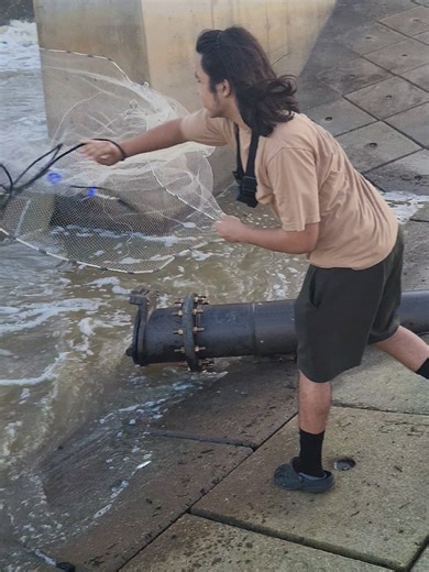 #fishing #castnetfishing #castnet #shad #baitfish