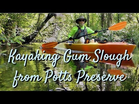 Kayaking Gum Slough from Potts Preserve