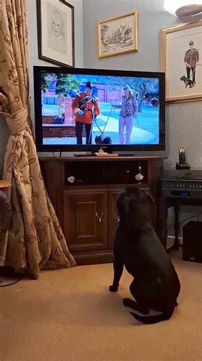 15K views · 1.1K reactions | Day 1634 Wednesday Memory ♥️ Good morning. here's a blast from the past. Got a message from my Aunty Michelle saying we were on a replay, so mum found it for me to watch♥️ VIVAT REX ICH DIEN ♥️ | Watchman | Facebook