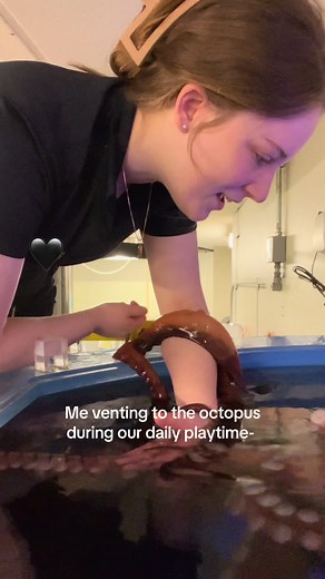 Understanding Octopus Behavior in Marine Biology