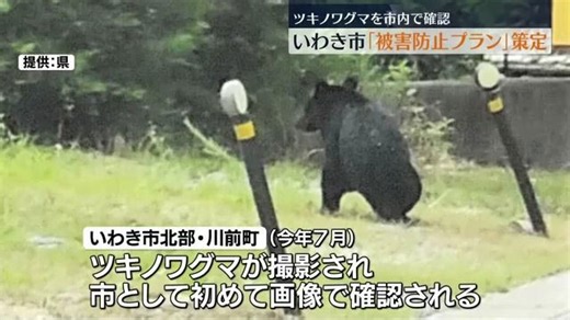 「安全に暮らせるように…」いわき市が“熊の被害防止プラン”策定