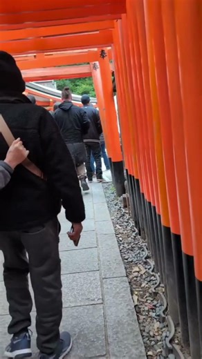 🇯🇵Beautiful Magical #japan 🇯🇵 #kyoto #cherry #tokyo #harajuku 🎎🗼🎋🎉❤️❤️