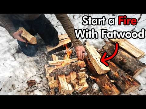 Starting a Fire in Wet Conditions using Fatwood - No Lighter, No Matches