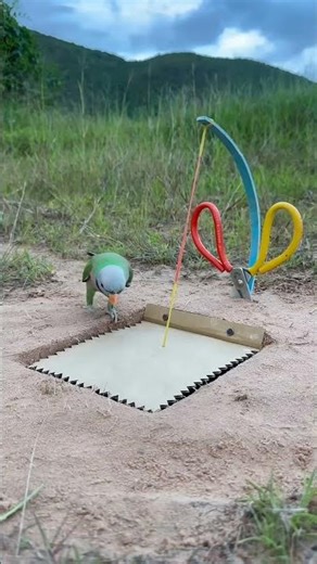birds trap catching parrot #amazing #birds #trap
