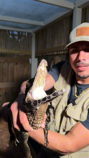 Andrew Morales on Instagram: "🤯 EXOTIC ANIMAL FARM 🤯 Had a great time w/ @stone_m8 learning about these amazing creatures and continuing my crocodilian hours! . . . . #fyp #florida #reels #explorepage✨ #animals"