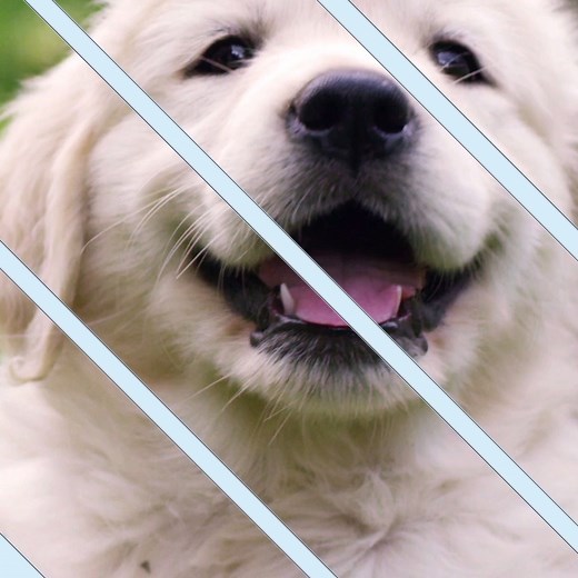 121K views · 147 reactions | FREE 2-hour Delivery on Thousands of Items | Amazon.com | Facebook