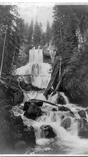 Do you know the history of our national parks? Or that the #BuffaloSoldiers played a large role in their establishment? Watch #BuffaloSoldiersPBS 6/12 on PBS and 6/19 on #LocalUSA to learn more about how Black regiments had a hand in U.S. history. #NationalTrailsDay #blackhistory #buffalosoldiers #military #nationalparks #charlesyoung Buffalo Soldiers Fighting On Two Fronts Documentary | WORLD Channel | Facebook